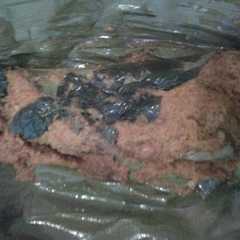 A picture of Pepes Ikan.