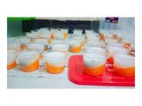 Puding Mangga Selasih