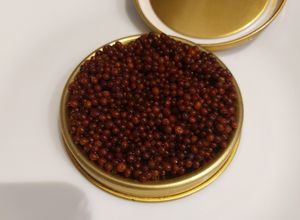Une photo de Caviar.....de moutarde