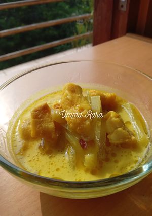 Foto resep (15) Ikan Dori Labu Siam Kuah Kuning (MPASI 1y+)