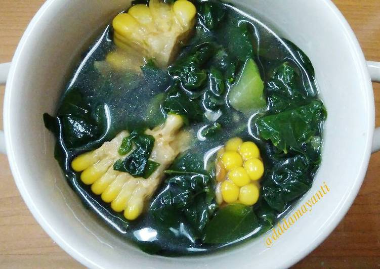 Bagaimana Menyiapkan Sayur Bening Katuk, Bisa Manjain Lidah