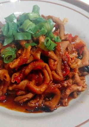 Foto resep Tumis Usus Pedas