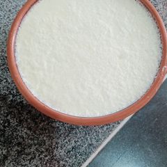 Homemade yogurt A picture of Homemade yogurt.