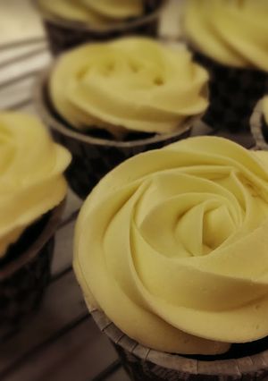 A picture of holy-moist chocolate cupcakes.