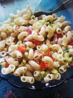 A picture of Simple macaroni salad.