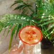अमरूद का जूस (guava juice recipe in Hindi)