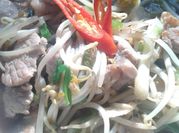 A picture of pork stir fry with bean sprout