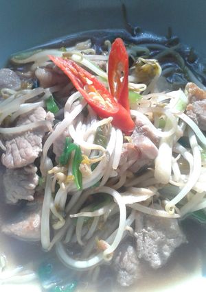 A picture of Pork stir fry with bean sprouts.