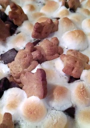 A picture of S'more Cake.