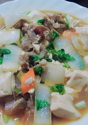 豬肉洋蔥燴豆腐 的食譜成品照片