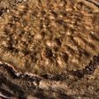 Brownie húmedo chocolatoso