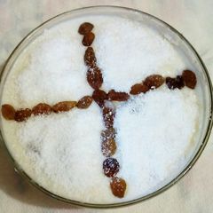 A picture of Pakistani Sweet Firni.