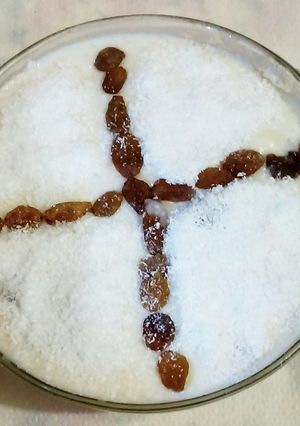 A picture of Pakistani Sweet Firni.