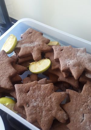 A picture of Omi's Lebkuchen.