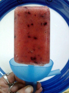 A picture of Ladybirds Refreshing Summer Fruit Smoothie Ice Blocks ..