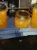 My clementine disaster marmalade