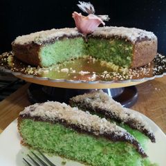 A picture of AMIEs Mint Cake with Cocco.