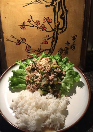 A picture of Turkey Larb.