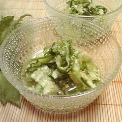 A picture of Easy and Refreshing Marinated Shiso Leaf and Cucumber Sunomono.