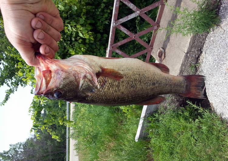 Steps to Prepare Favorite Fried Bass