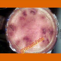 A picture of Ymustuhate my Snickerdoodle Cheese Cake.