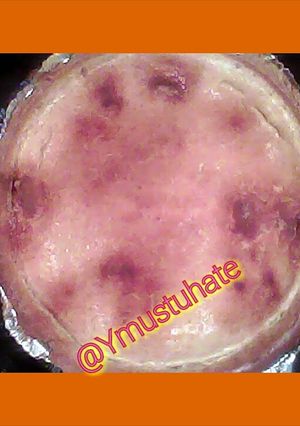 A picture of Ymustuhate my Snickerdoodle Cheese Cake.