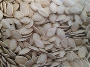 A picture of pumpkin seeds
