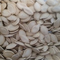 A picture of Salted Pumpkin Seeds.