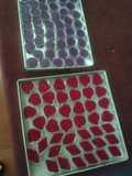 Red Dragon Fruit Pudding