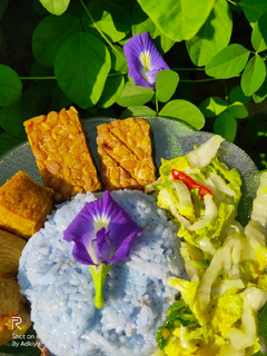 Foto resep Nasi Uduk Bunga Telang / Nasi Ungu
