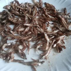 A picture of Dry Fried Omena (Omena haohao).