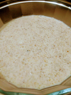 A picture of Porridge (Daliha).