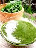 Genovese Sauce with Fresh Basil