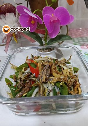 Gambar Kacang panjang goreng taugeh