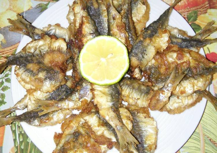 سردين حبة فوق حبة