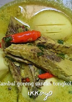 Foto resep Sambal goreng santan tongkol+telur