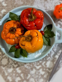 عکسی از دستور دلمه فلفل رنگی🫑