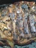 Pernil (pork picnic shoulder)