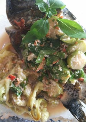 Foto resep Sepat