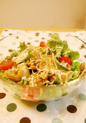A picture of Vegetarian Bread Salad Bowl.