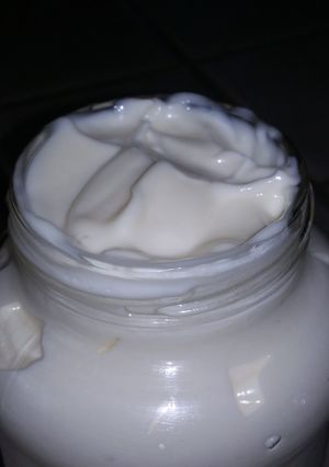 A picture of Paleo olive oil mayo - whole 30.