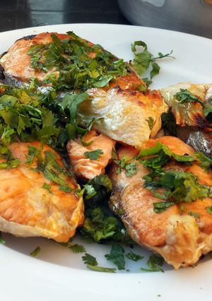 A picture of Salmon with olive oil & coriander.