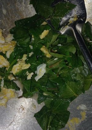 Foto resep Tumis orek bayam