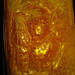 A picture of Ocean floor bread.