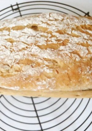 A picture of Roman-Style Anise Bread.