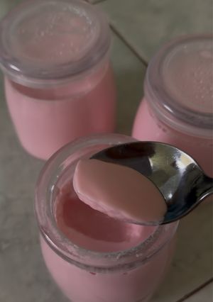 Foto resep Homemade Yogurt