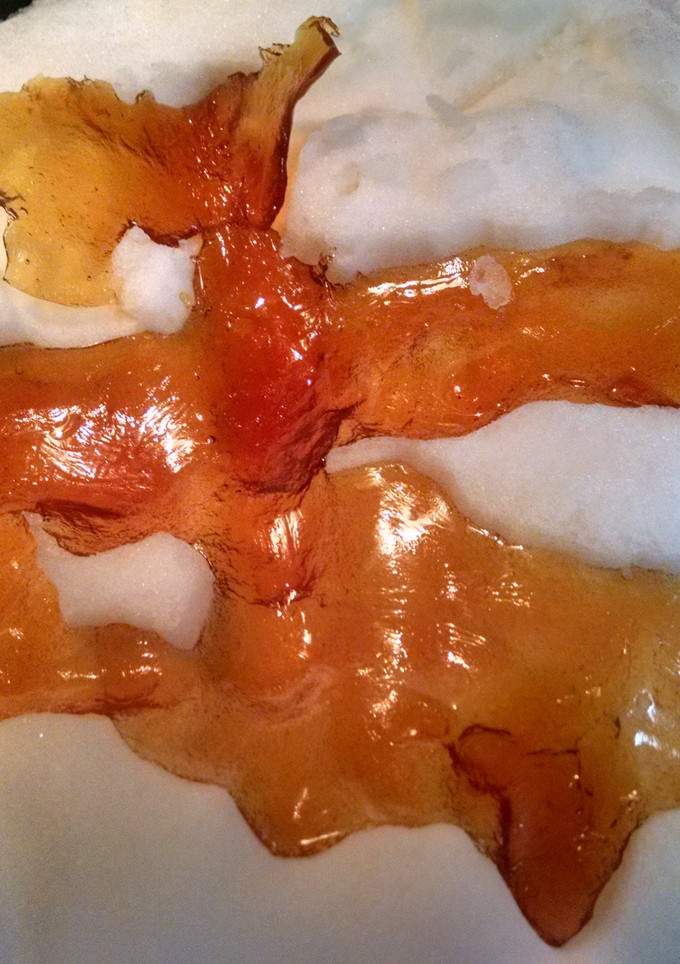 A picture of Maple Candy.