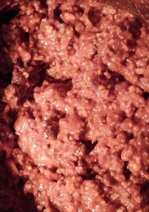 A picture of Nacho Meat.