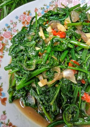 Foto resep Tumis Pakis/Paku