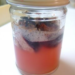 A picture of A Summer/Fall Starter: Kyohō Grape Yeast.